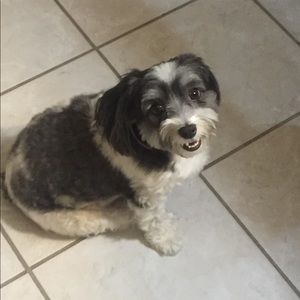 Meet your Posher, Emma